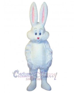 Easter Bunny Rabbit mascot costume