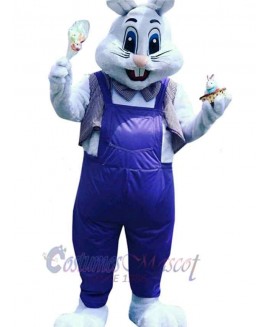 Easter Bunny Rabbit mascot costume