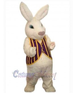 Easter Bunny Rabbit mascot costume