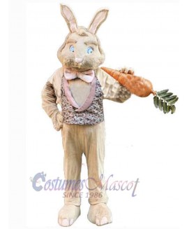 Easter Bunny Rabbit mascot costume