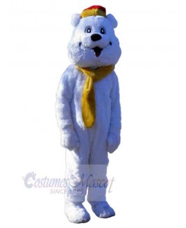 Bear mascot costume