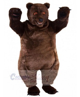 Bear mascot costume