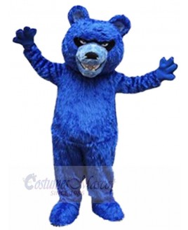 Bear mascot costume