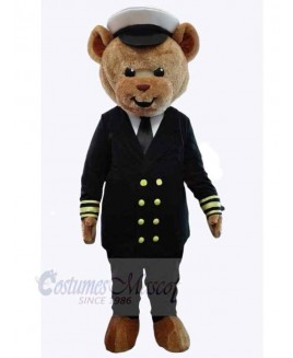 Bear mascot costume