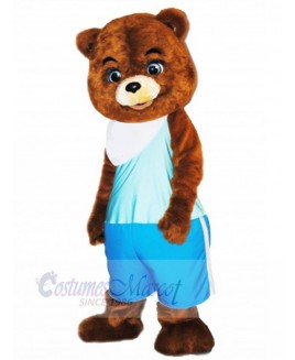 Bear mascot costume