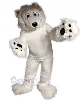 Bear mascot costume