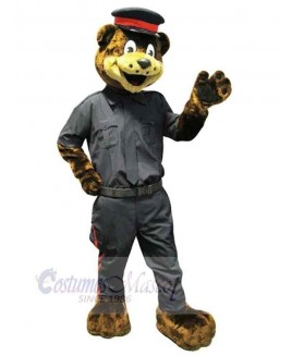 Bear mascot costume