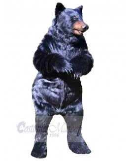 Bear mascot costume