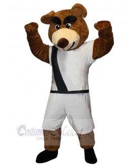 Bear mascot costume