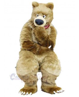 Bear mascot costume