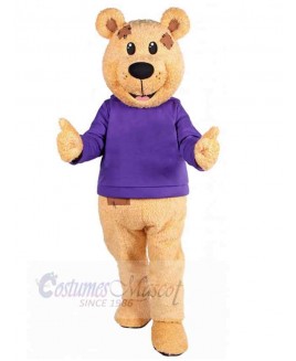 Bear mascot costume