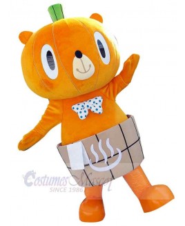 Bear mascot costume