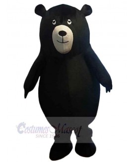 Bear mascot costume