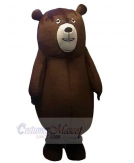 Bear mascot costume