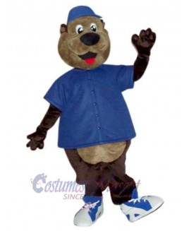 Bear mascot costume