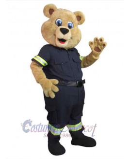 Bear mascot costume