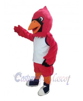 Cardinal Bird mascot costume