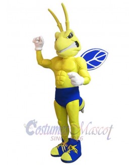 Bee mascot costume