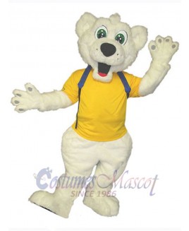 Bear mascot costume