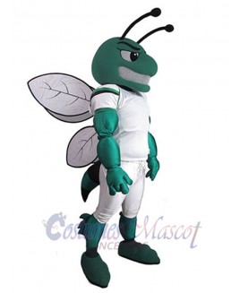 Hornet mascot costume