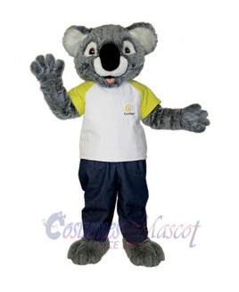 Koala mascot costume