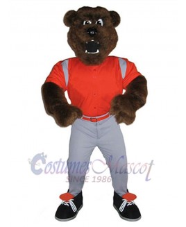 Bear mascot costume