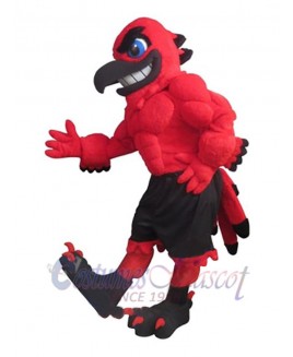 Falcon mascot costume