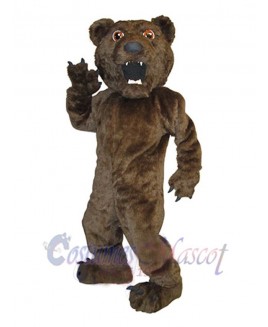 Bear mascot costume