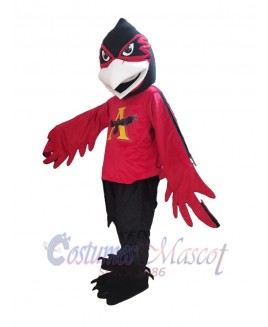 Raven mascot costume