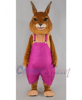 rabbit mascot costume