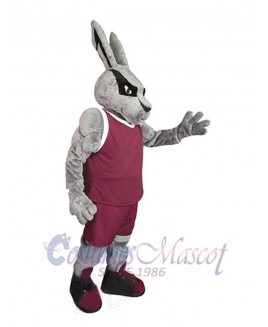 Easter Bunny Rabbit mascot costume