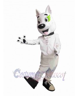 Dog mascot costume