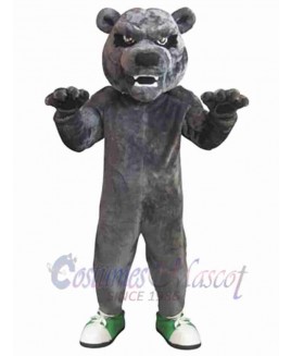 Bear mascot costume