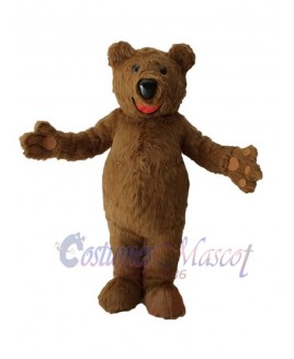 Bear mascot costume