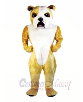 Cute Lightweight Bulldog Mascot Costumes