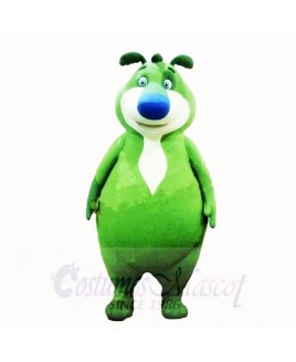 Green Bear Mascot Costumes Cartoon