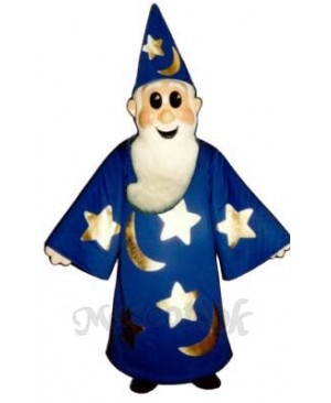 Wizard Mascot Costume