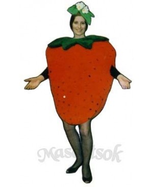 Strawberry Mascot Costume