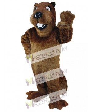 Beaver mascot costume