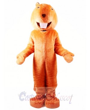 Adult Beaver Mascot Costume