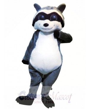 Cute Raccoon Animal Mascot Costume