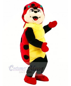 Cute Ladybug Mascot Costumes Cartoon	