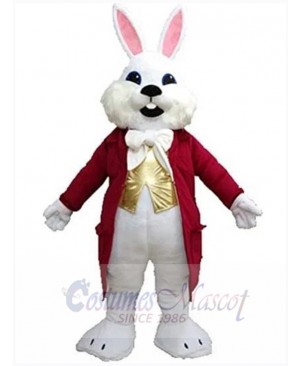 Easter Bunny Rabbit mascot costume