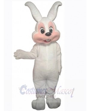 Easter Bunny Rabbit mascot costume