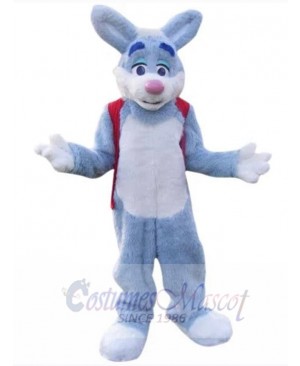 Easter Bunny Rabbit mascot costume