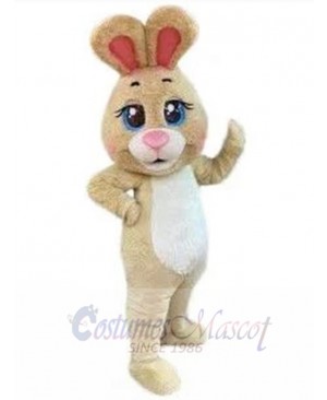 Easter Bunny Rabbit mascot costume