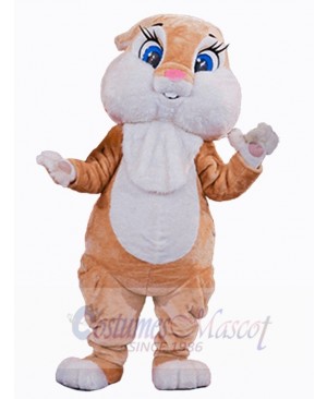 Easter Bunny Rabbit mascot costume