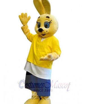 Easter Bunny Rabbit mascot costume