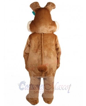 Easter Bunny Rabbit mascot costume