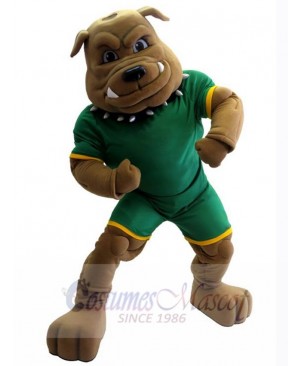 Bulldog Custom Animal Mascot Costume